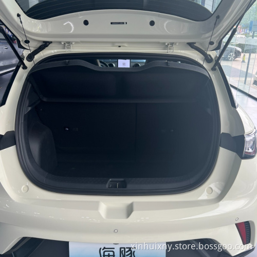 Long Range 401KM BYD dolphin EV 5 Seats New Edition 2023 BYD Dolphin  New Electric Vehicles